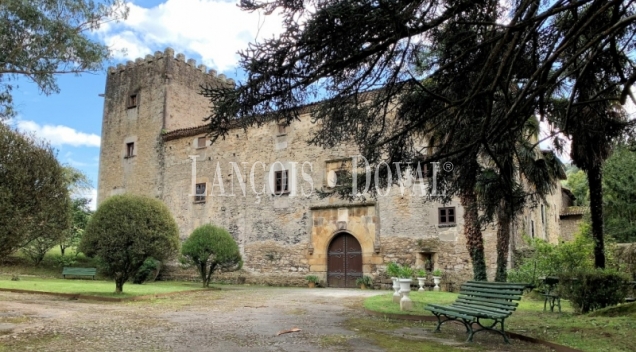 Asturias. Casa palacio en venta siglo XVI. Concejo de Salas. 