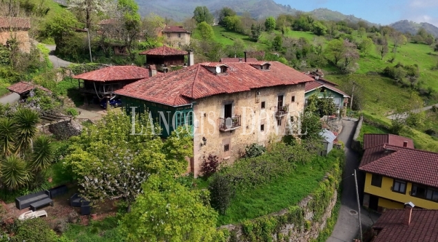 Asturias. Proaza. Singular casa señorial medieval en venta. 