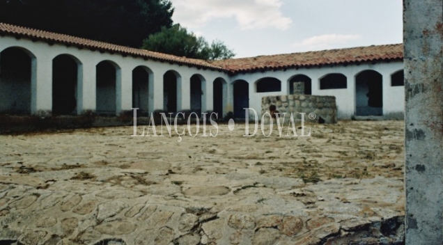 Ávila. Sierra de Gredos. Castilla León. Finca en venta.