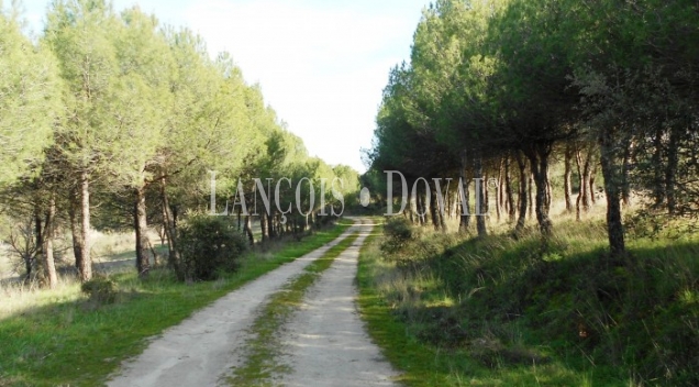 Majadahonda. Madrid Finca rústica en venta.