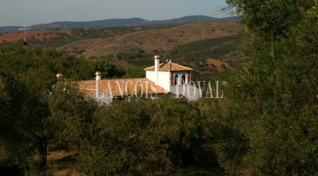 Almadén de la Plata. Sevilla. Finca en venta. 