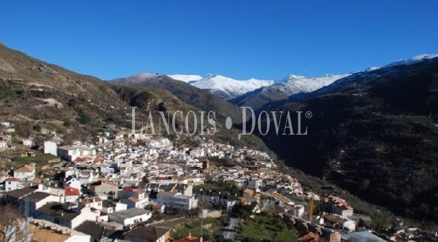 Güejar Sierra. Sierra nevada. Granada. Finca edificable en venta.