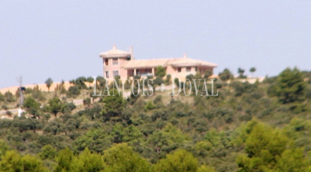 La Manchuela Alta. Cuenca. Finca coto de caza en venta.