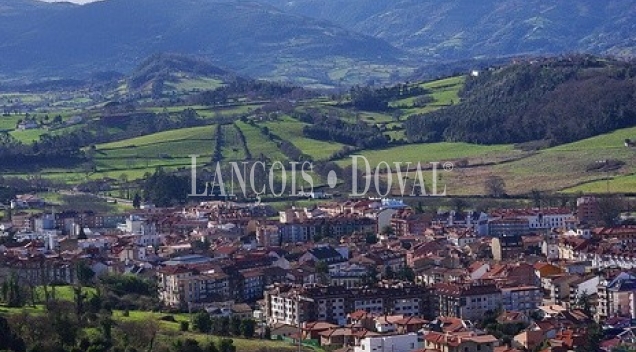 Villaviciosa. Asturias. Exclusiva propiedad en venta.