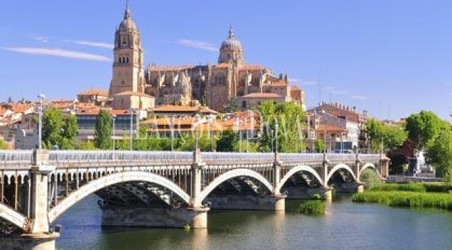 Edificio en venta. Salamanca. Casco Histórico. 