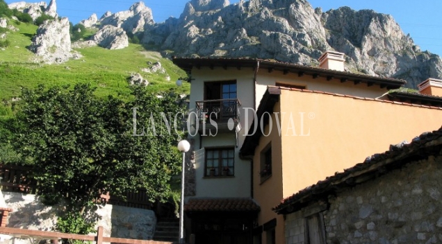 Hotel rural y apartamentos turísticos en venta. Lena. Asturias.