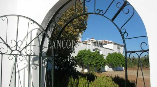 Jaén. Cortijo andaluz y finca en venta.