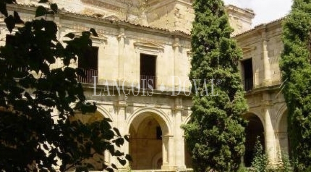  Monasterios. Conventos. Abadías. Palacios. Castillos. Pueblos abandonados en venta