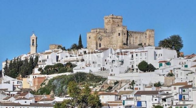 Espejo. Casa señorial en venta. Córdoba.