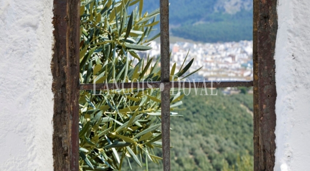 Cortijos tradicionales en Jaén