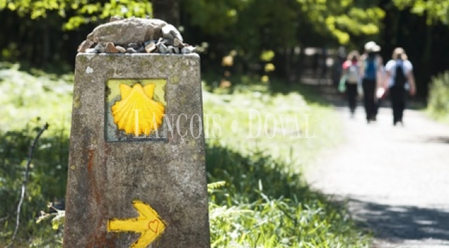 Un antiguo molino en venta en el Camino de Santiago.