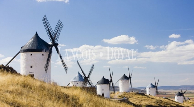 Fincas singulares en venta. Toledo. Castilla La Mancha