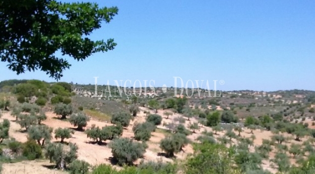 Madrid.  Finca Rústica olivar en venta. Villarejo de Salvanés.