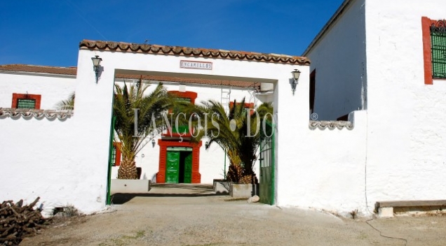 Sierra Morena. Dehesa con cortijo en venta. Finca de caza mayor y menor. Vilches. Jaén.