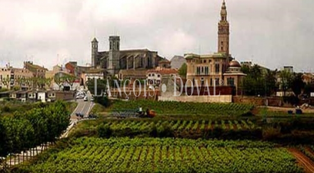 L´ Arboç. Casa en venta con licencia turística. Baix Penedés. Tarragona.