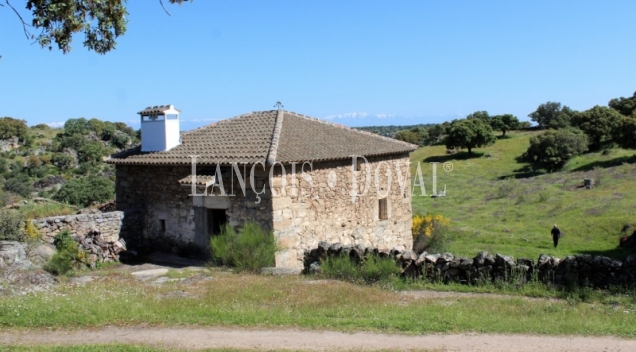 Cáceres. Dehesa en venta. Coto de caza mayor y menor. Comarca de La Jara.