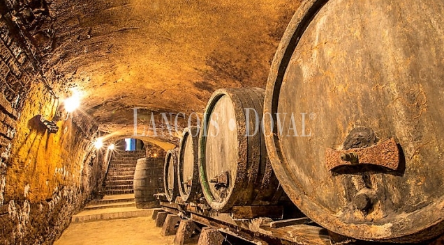 Bodegas y viñedos en venta en la Ribera Del Duero.