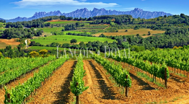 Alt Penedès. Masía casa rural y viñedos en venta. Ideal enoturismo.