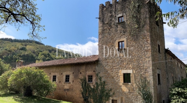 Asturias. Palacio de Doriga en venta. 