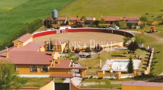 Ávila. Venta finca ecuestre y ganado bravo. Plaza de toros. Ideal eventos   