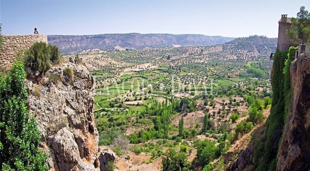 Albacete. Complejo rural y finca en venta. Sierra del Segura.