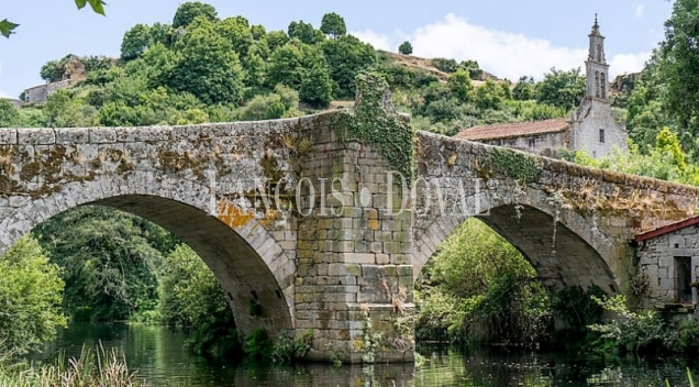 Ourense. Casas y fincas rústicas en venta y alquiler.