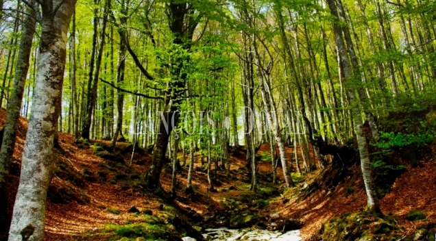 Campoo.  Los Valles. Complejo turístico rural en venta en Cantabria por jubilación