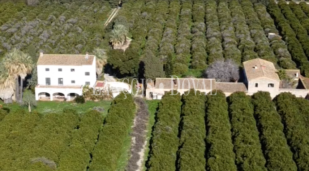 Dénia. Proyecto hotelero en venta en una finca histórica. 