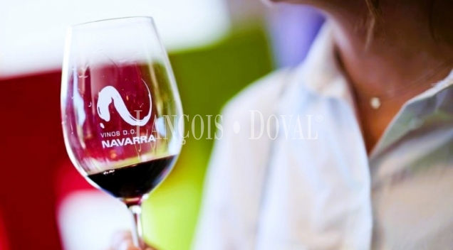 Bodega en Venta. D.O. Navarra. Zona de eventos y enoturismo. 