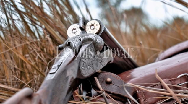Castilla León. Gran finca en venta. Coto de caza, labor y recreo.