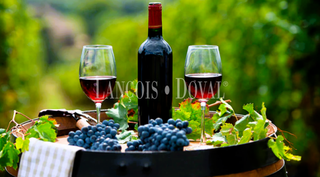 Una inversión vitivinícola segura en una de las DO más prestigiosas de España