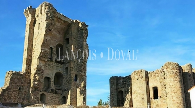  Toledo. Polán. Alojamiento turístico en venta con alta rentabilidad junto a Puy du Fou España