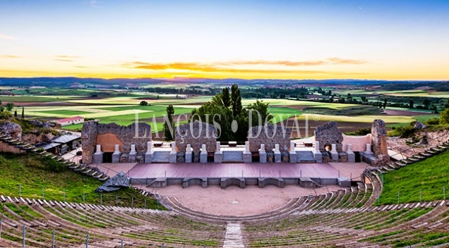 Burgos. Un proyecto turístico rural en venta  junto a Clunia Sulpicia. Huerta del Rey