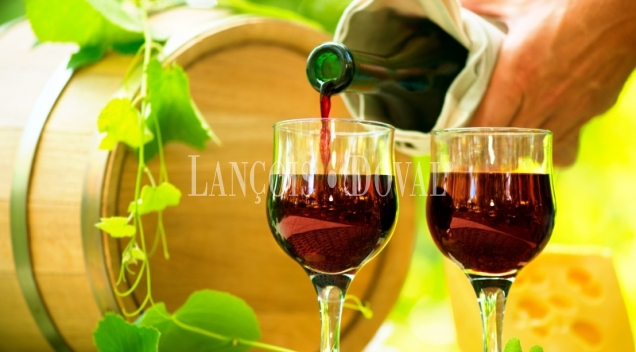 Bodega y Viñedos en venta en la Ribera del Duero | Inversión estratégica en una de las grandes denominaciones de origen de España