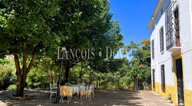 Finca olivar y cortijo en venta en La Sierra del Segura. Jaén. 