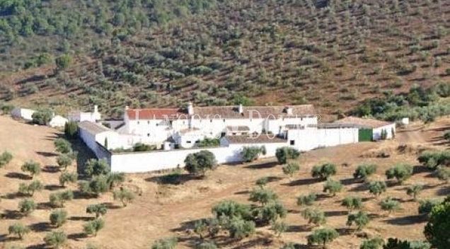 Sierra Morena. Córdoba. Finca de olivar y ocio con gran Hacienda en venta