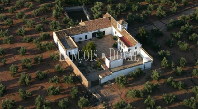 Las Navas. Córdoba Cortijo y molino en Venta.