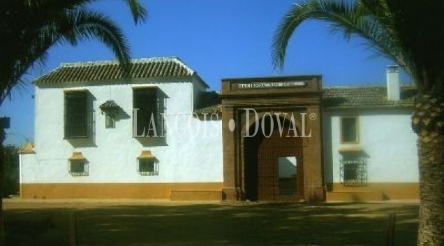 Sevilla. Hacienda en Venta