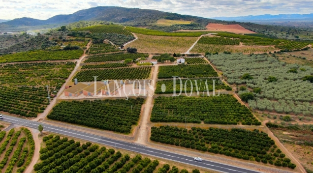 Tarragona. Venta finca agrícola y ganadera. Ideal ocio rural. 