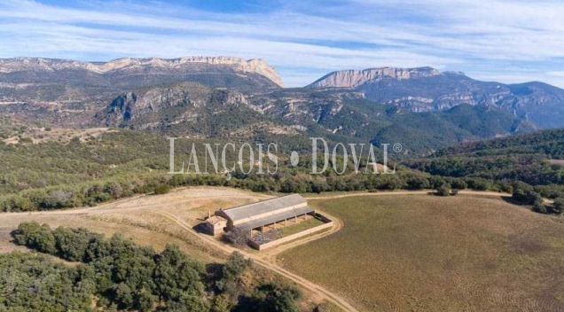 Huesca. Coto de caza mayor en venta. Finca forestal y agrícola.