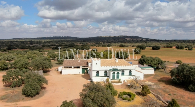 Albacete. Finca en venta. Coto de caza menor y agrícola. 