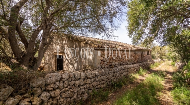 Gran finca rústica en venta. Costitx, Mallorca propiedades singulares.