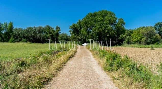 Madrid. Venta finca agrícola de regadío. San Fernando de Henares.