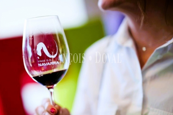 Bodega en Venta. D.O. Navarra. Zona de eventos y enoturismo. 