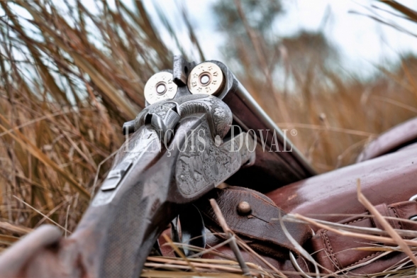 Castilla León. Gran finca en venta. Coto de caza, labor y recreo.