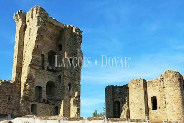  Toledo. Polán. Alojamiento turístico en venta con alta rentabilidad junto a Puy du Fou España