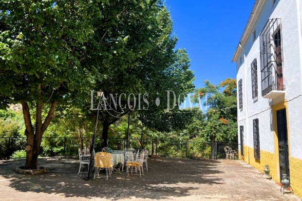 Finca olivar y cortijo en venta en La Sierra del Segura. Jaén. 