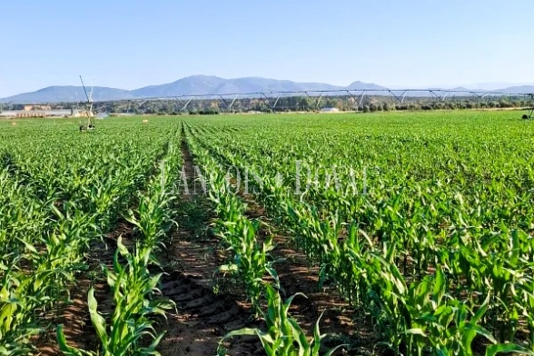 Toledo. Finca agrícola y ganadera en venta a una hora de Madrid: 64 hectáreas de regadío e infraestructuras productivas