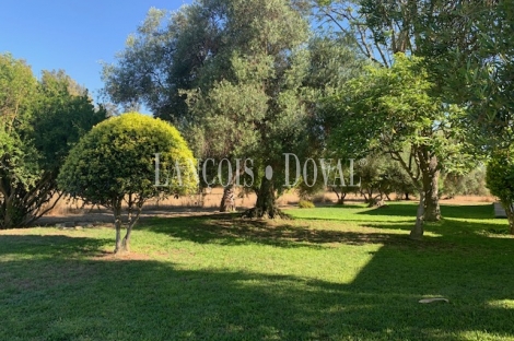 Fincas y casas rurales en venta en Jerez de la Frontera. Cádiz. 