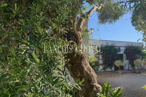 Fincas y casas rurales en venta en Jerez de la Frontera. Cádiz. 